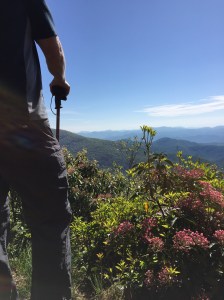 Danny on the summit of Standing Indian Mtn.