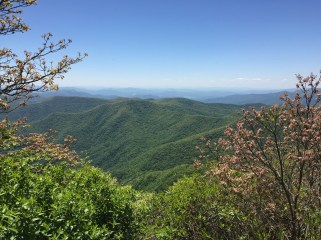 View from Standing Indian Mountain Summit