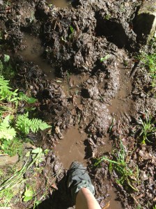 That shoe's a goner.